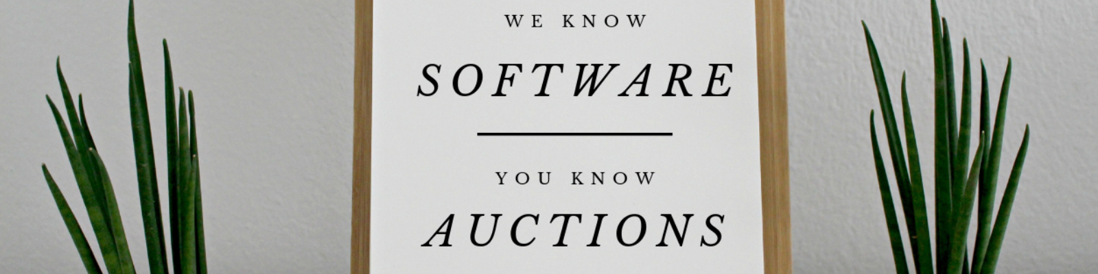 we know software you know auctions