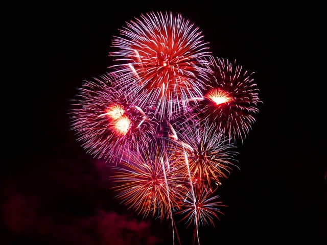 celebrate the 4th of july