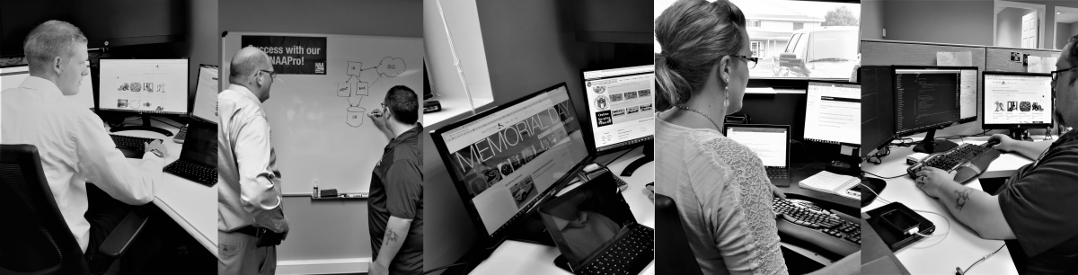 auctioneer software banner auctioneer software banner